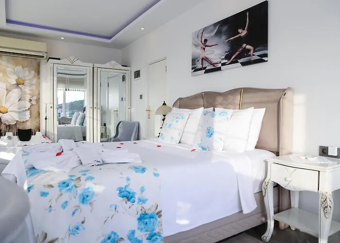 丹特拉布提克酒店 2* Çeşme