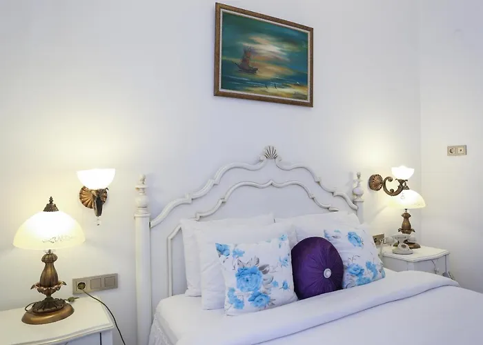 丹特拉布提克酒店 2* Çeşme